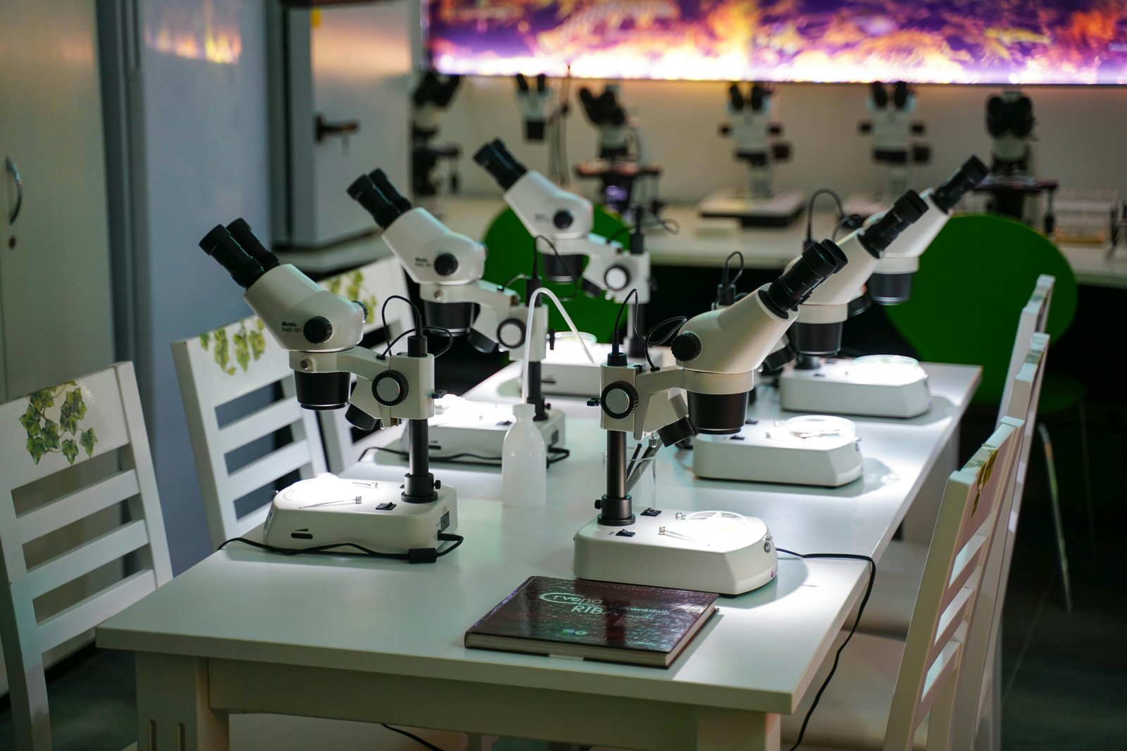Innovative Research Grant